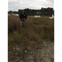 Gloucester King Tide image